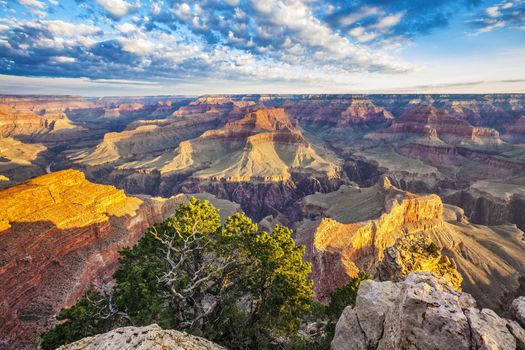 View of Grand Canyon with morning light, USA 