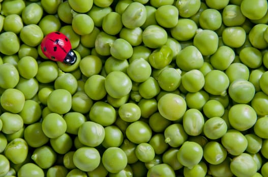 Green peas beans
