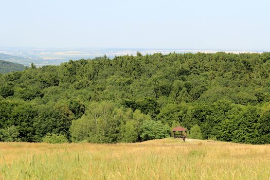 Famous forest park of Bratislava. Slovakia