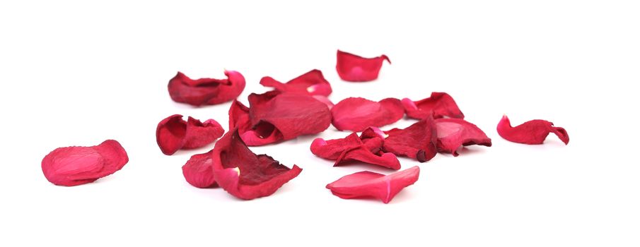 Beautiful red rose petals. Isolated on a white background.