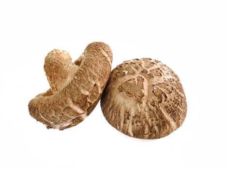 Shiitake mushrooms isolated on white