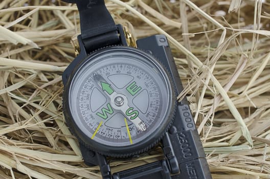 compass on the hay