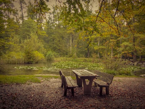 Benches in autumn by a small pond in the forest