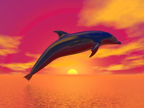 Dolphin jumping upon the ocean by beautiful red sunset