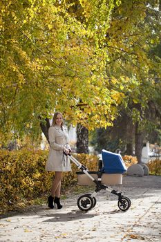 Mother with baby stroller for a newborn in autumn park