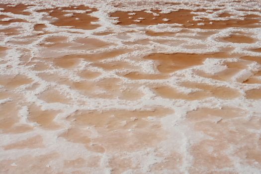 Texture of saline marshes of cousine salt production in Tavira, Ria Formosa, Algarve, Portugal