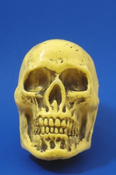 An Ancient Yellow Skull  on a Colored Background