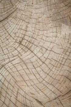 Wood texture