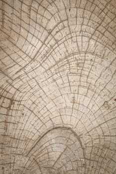 Wood texture