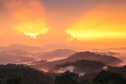 Sunset in rainforest, Thailand