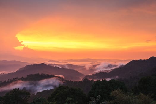 Sunset in rainforest, Thailand
