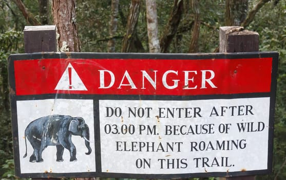 Beware of Elephants Sign in jungle