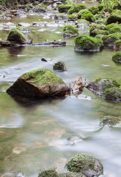 Moss covered rocks in river