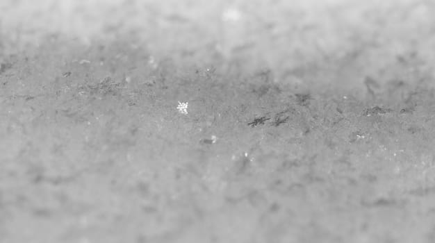 beauty white snowflake crystals on dark background