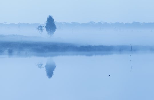 Early morning on river