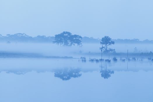 Early morning on river