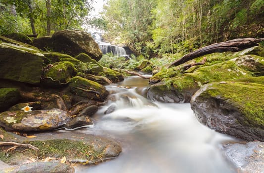 Waterfall in the jungle, Thailand