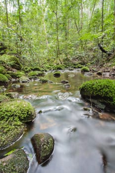 Moss covered rocks in river