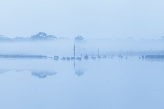 Early morning on river