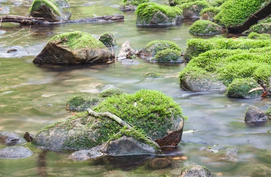 Moss covered rocks in river