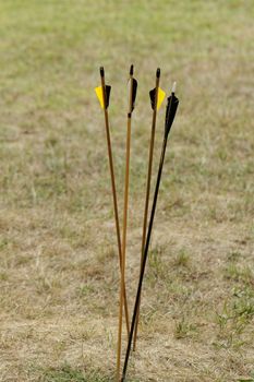 color archery arrows in nature on the ground