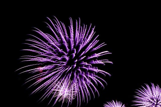 beauty colorful Fireworks Against a Black Sky