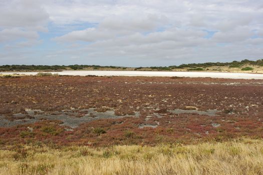 Typical landscape of Coorong National Park, Australia
