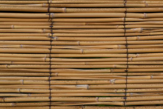 Japanese bamboo texture for background. Bamboo wall