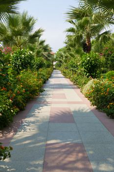 Alley in a tropical garden with a stone path