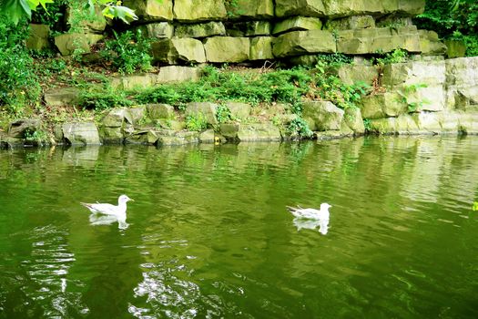 St Stephen's Green park in Dublin