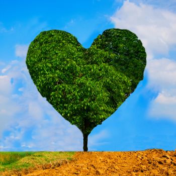 Heart shaped tree over blue cloudy sky