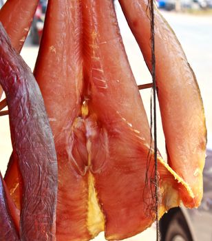 giant Catfish in Thailand market.