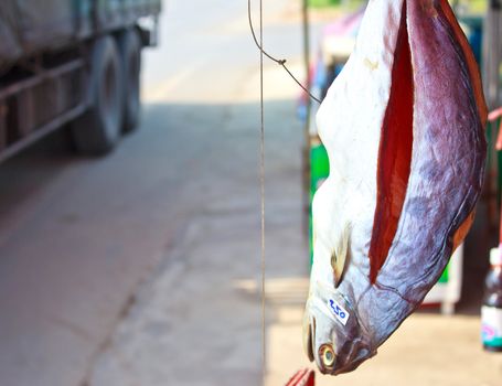 Trichogaster pectoralis drying process in thailand