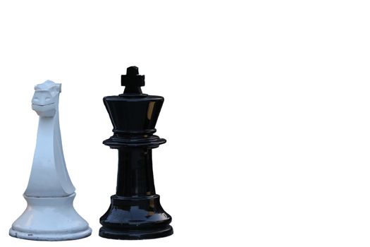 Chess game. black king challenging for victory. Isolated on white background. 