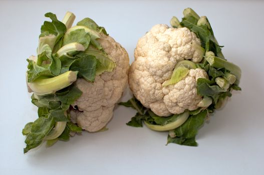 Freshly cut  cauliflower cabbage  isolated on white .