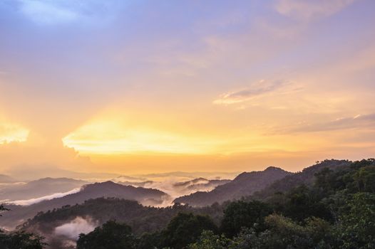 Beautiful twilight landscape in rain forest, Thailand.