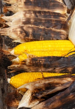 grilled corns