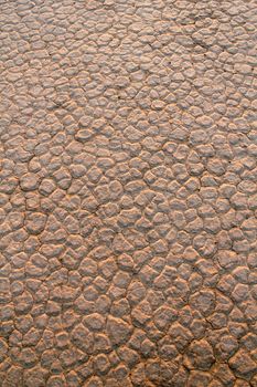Wadi Rum Desert dry soil detail. Jordan.