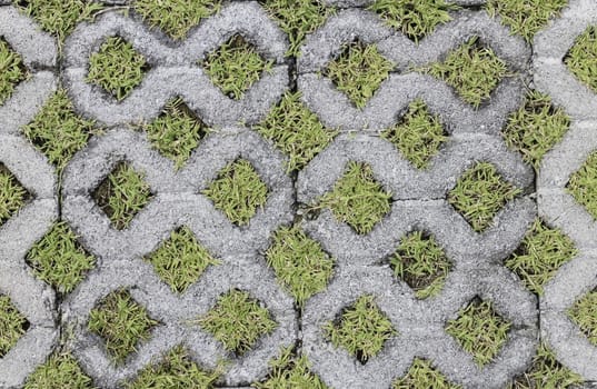 Grass in the holes of brick floor