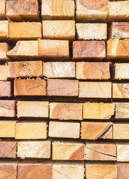 Pile of wood