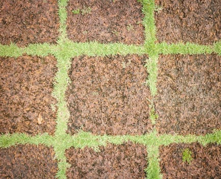 laterite Walkway