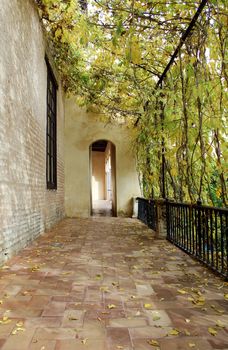 Courtyard at the Real Alcazar Moorish Palace in Seville, Spain 