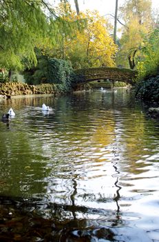 Botanic "Maria Luisa" park, Seville. Spain