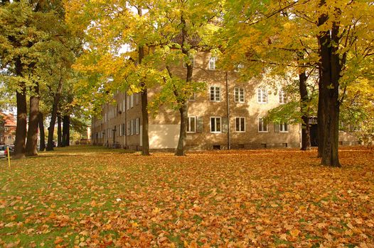 POTSDAM, GERMANY - OCTOBER 20: Building and autumn leaves somewhere in Potsdam germany