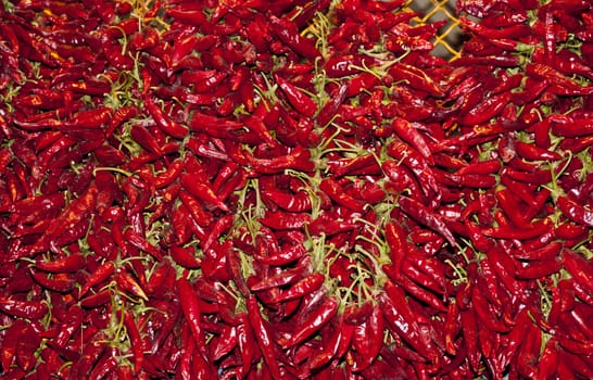 ripe red pepper in a market in Budapest