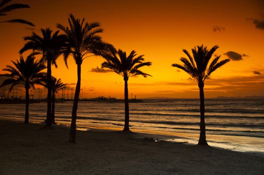 Sunset on the arenal beach on the island of Mallorca in Spain