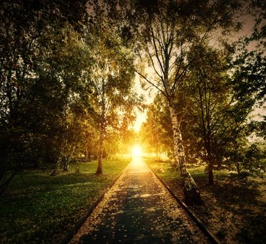 Autumn, fall park. Wooden path towards the sun. Colorful leaves, romantic aura of mystery