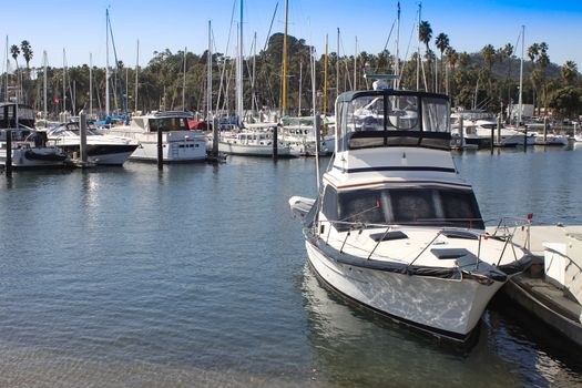 a beautiful of the santa barbara harbor. there are many boats, sailboats, yachts and dingy's floating while tied up in a slip.