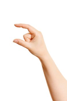 Woman's hand holding something on a white background