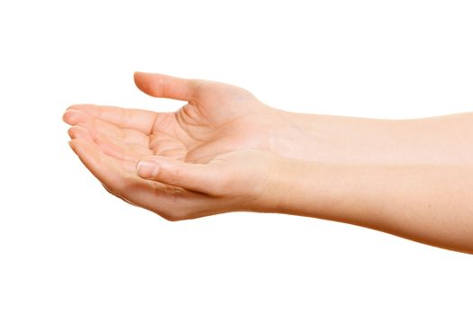 Woman's hands holding something on a white background
